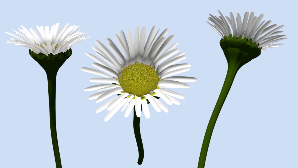 daisy preview image 1